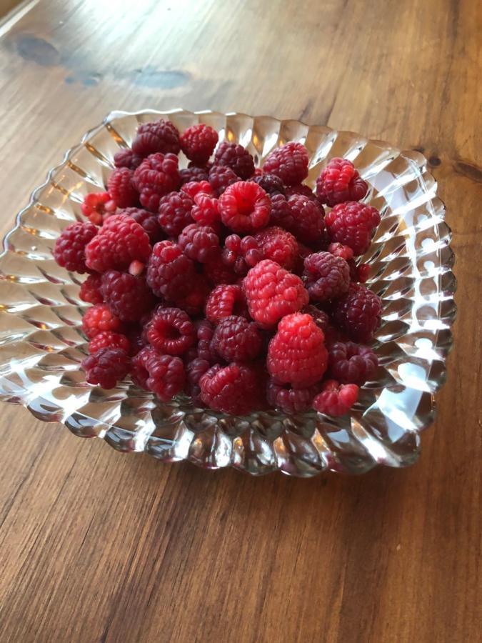 Cider House Bed And Breakfast 웨인스보로 외부 사진